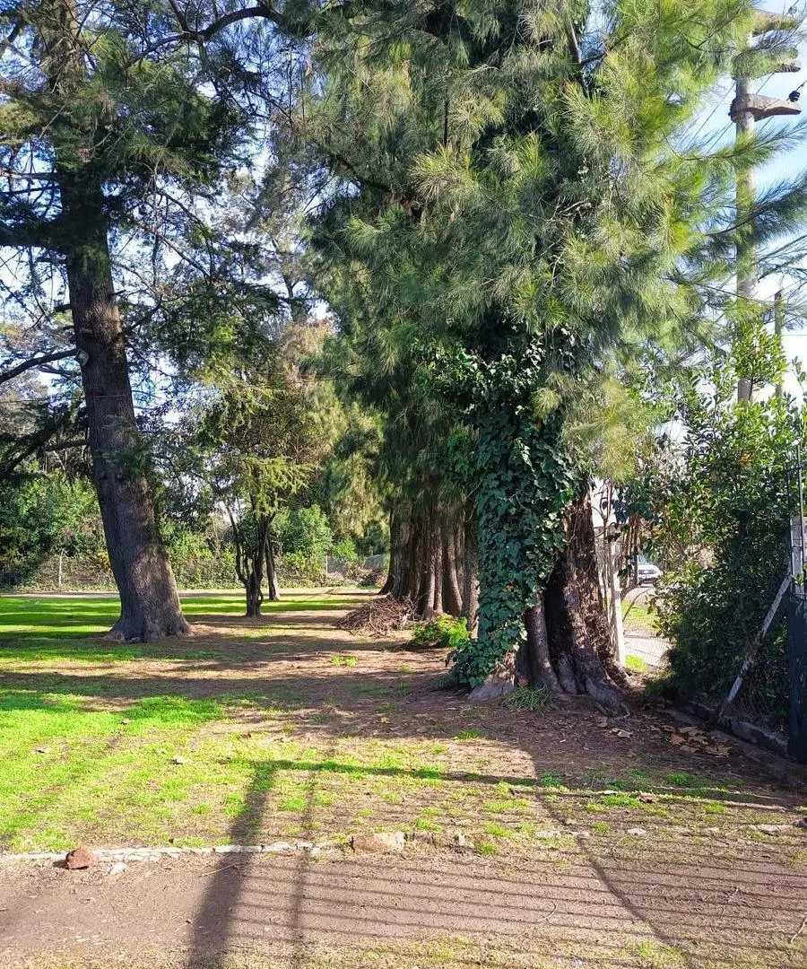 Terreno en Francisco Alvarez 4
