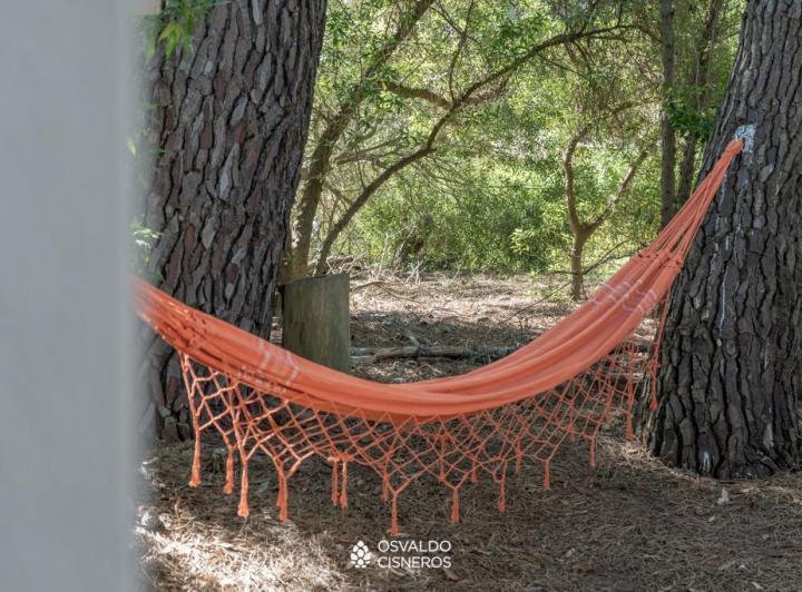 La Maga del Bosque – Mar de las Pampas - 3 cuadras de la playa 5