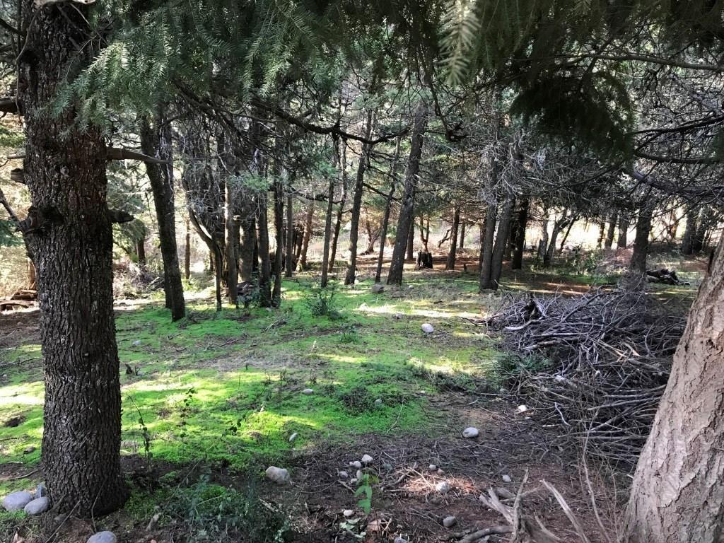 Terreno Fraccion en Venta en Alihuen Alto, San Martin de los Andes, Patagonia