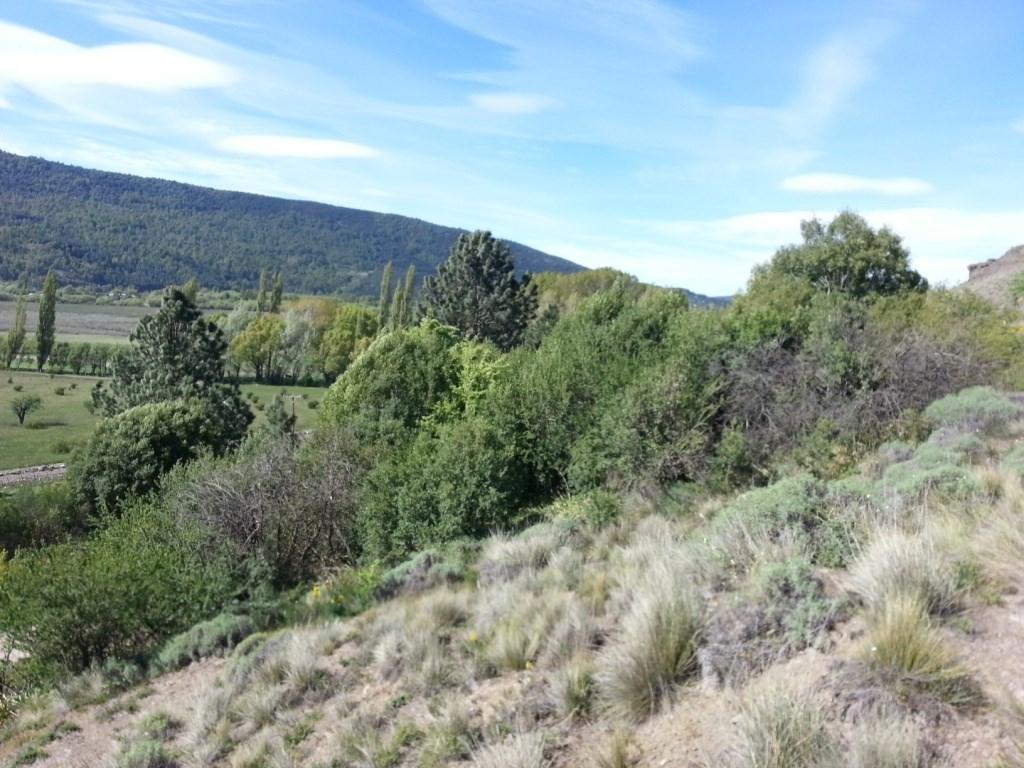 Terreno Lote en Venta ubicado en Faldeos del Chapelco, San Martin de los Andes, Patagonia
