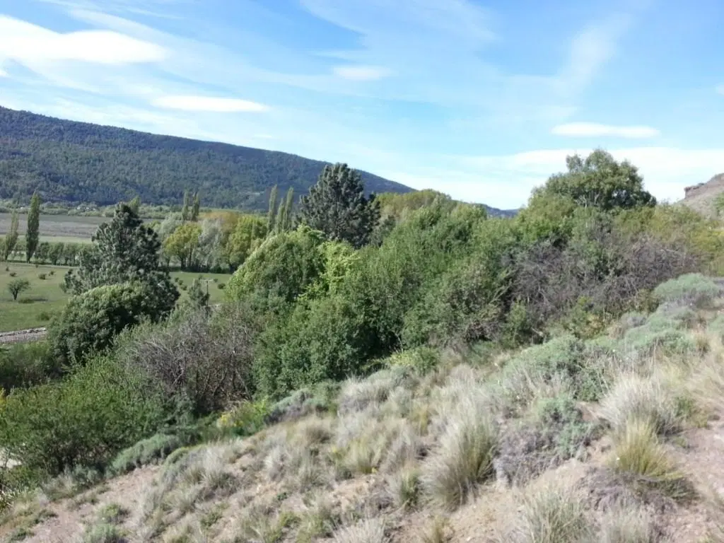 Terreno Lote  en Venta ubicado en Faldeos del Chapelco, San Martin de los Andes, Patagonia 3