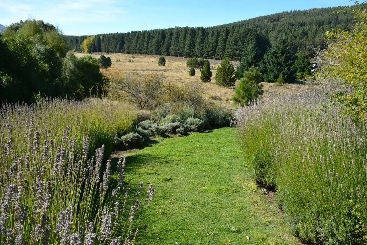 Casa Chalet  en Venta ubicado en Chapelco Golf, San Martin de los Andes, Patagonia 4