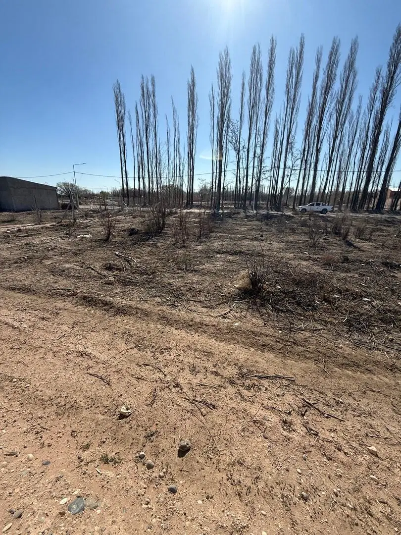 Terreno Lote  en Venta en Neuquen Capital, Neuquén, Patagonia 3
