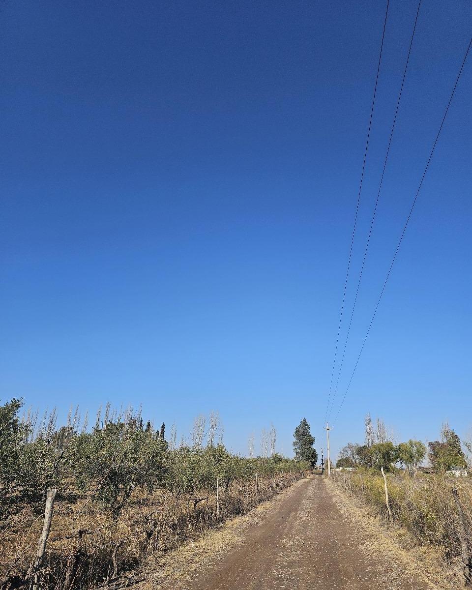Finca 21 Ha Beltran 2