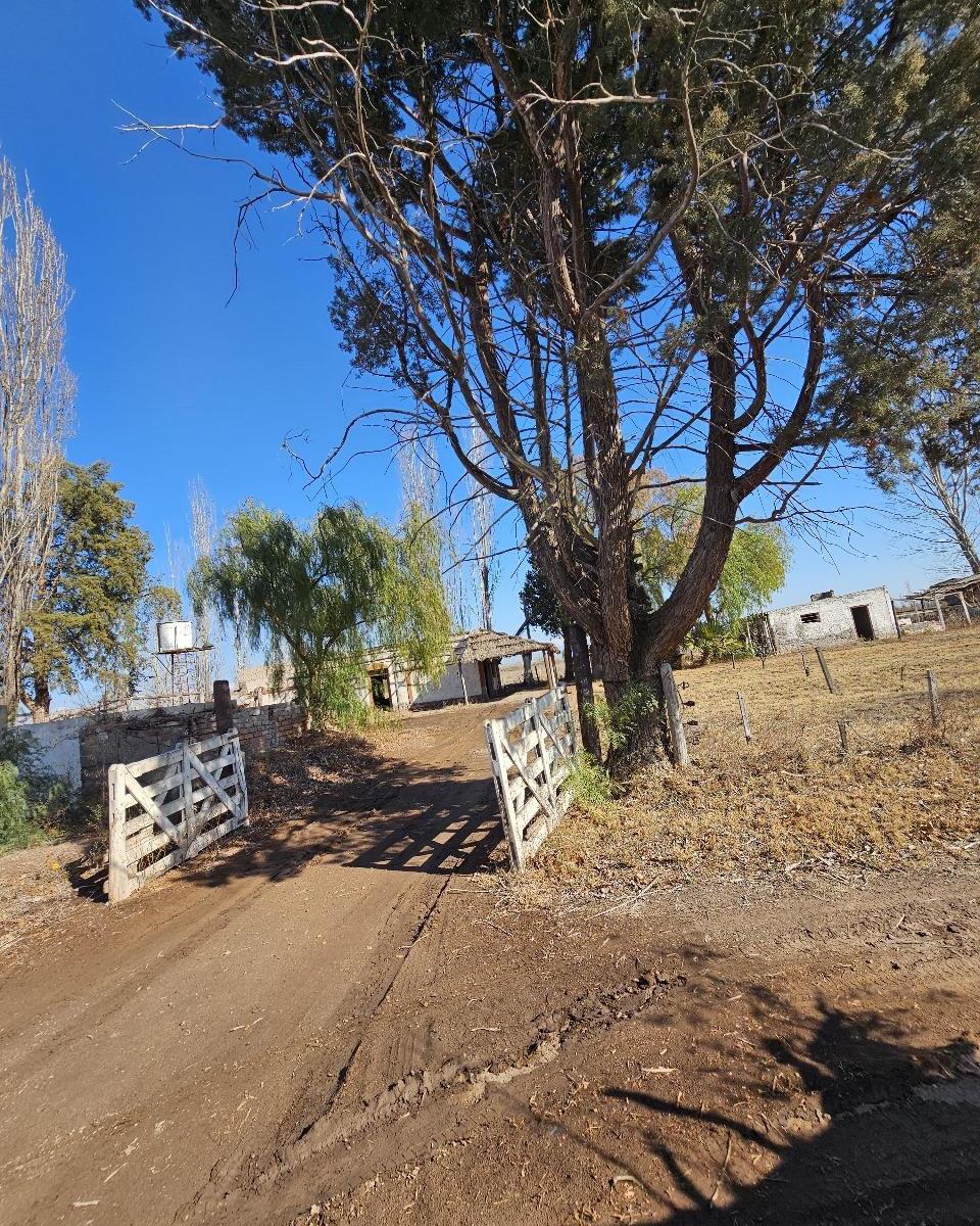 Finca 21 Ha Beltran 4