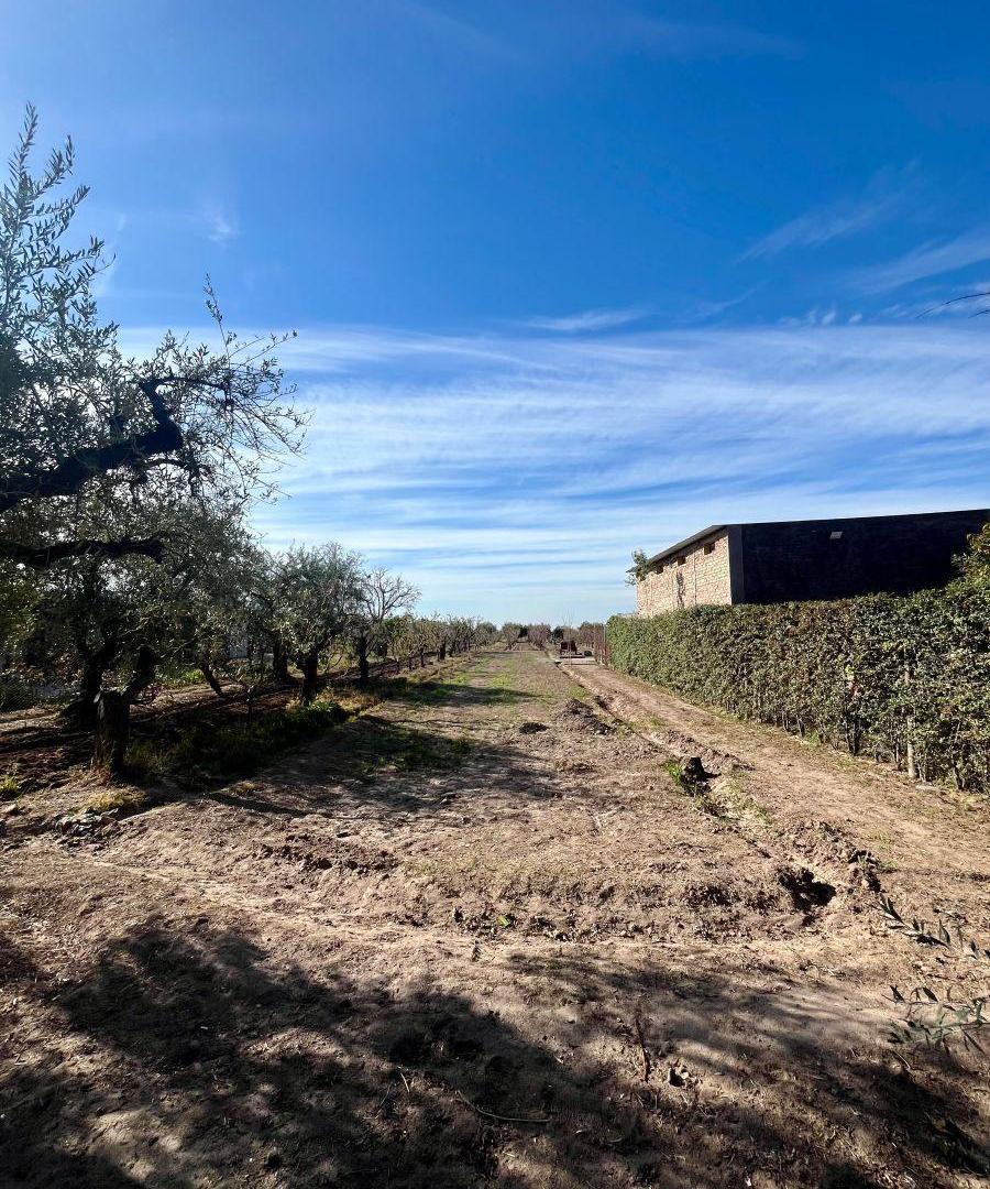 Foto de Terreno en Venta, imagen 2