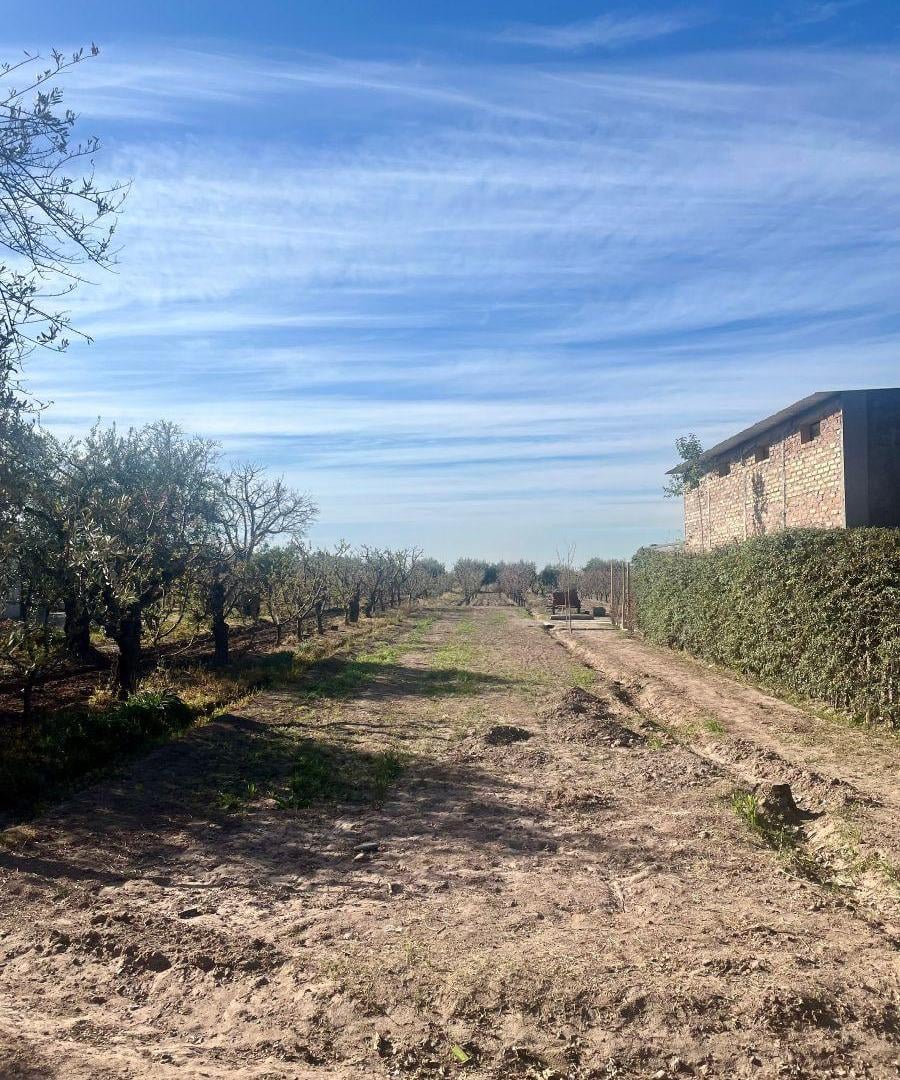 Foto de Terreno en Venta, imagen 4