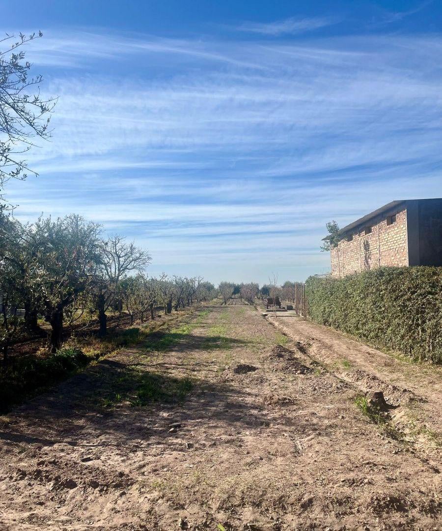 Foto de Terreno en Venta, imagen 5