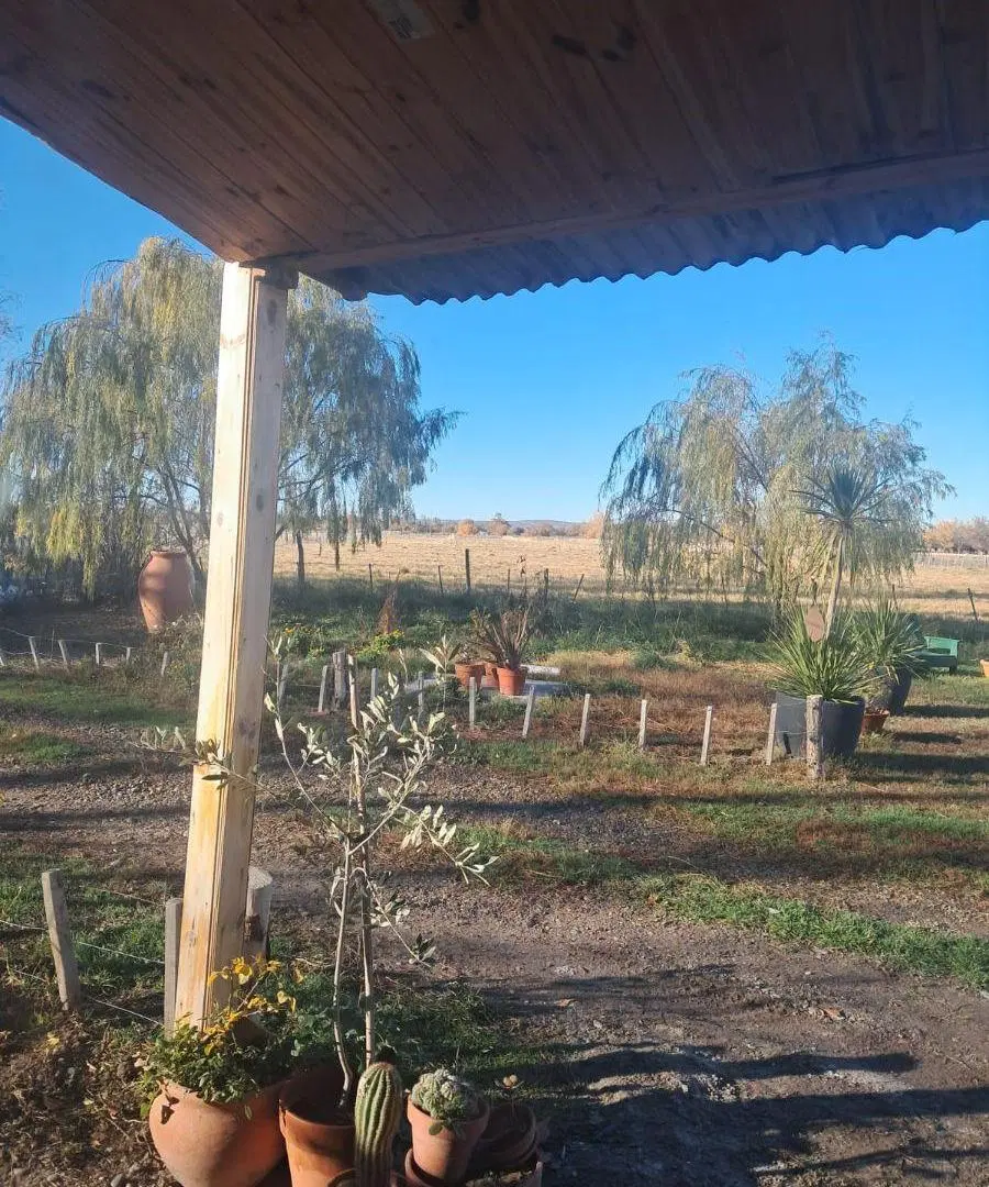 CHACRA DE 5 HECTAREAS ZONA BETHESDA 5