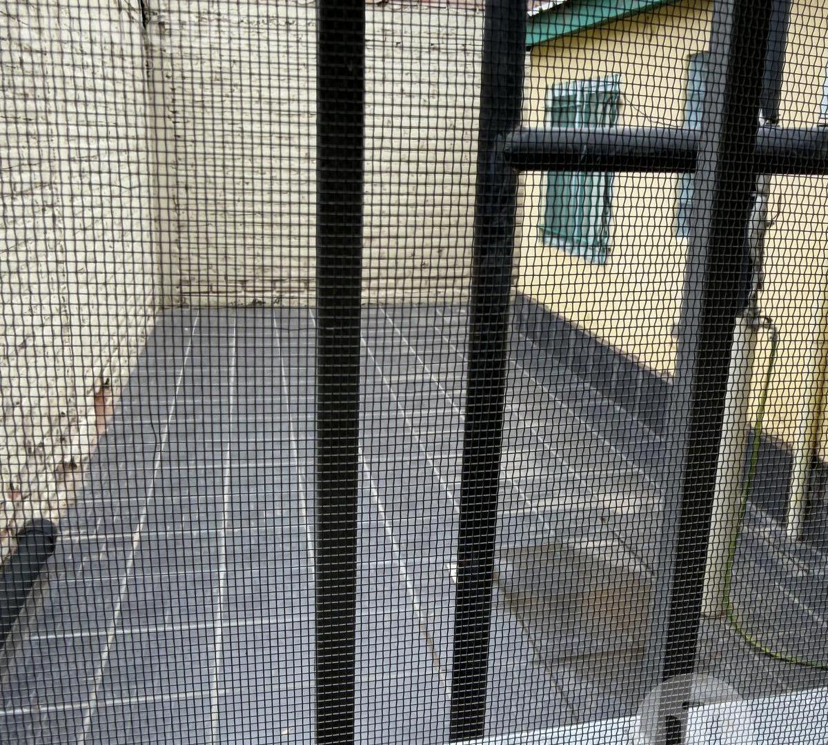 Foto de Casa y monoambiente, imagen 4