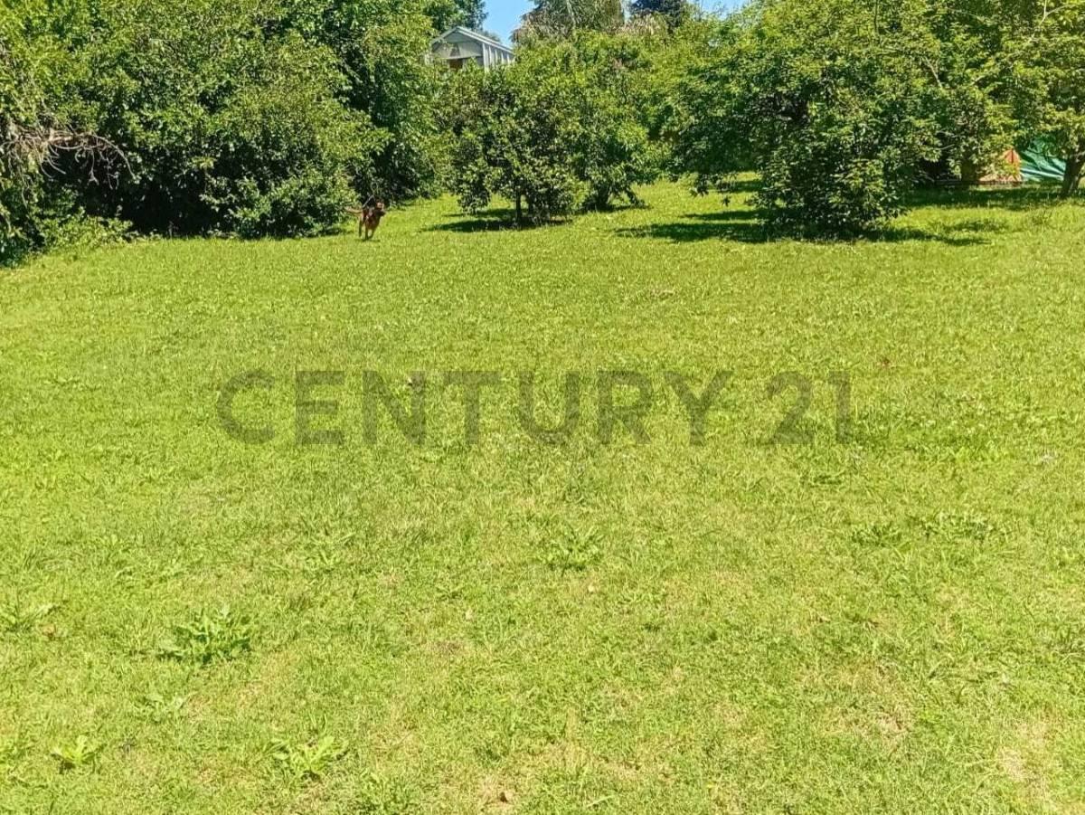 Foto de VENTA DE TERRENO EN MERLO OPORTUNIDAD!, imagen 4