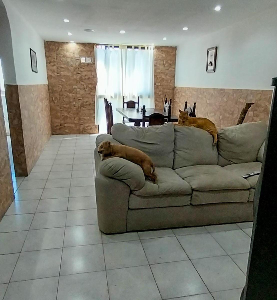 Venta Dpto Sarandí 4