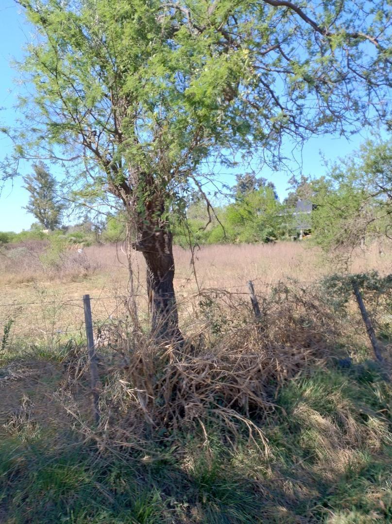 Terreno en Chaquito, Ideal Para 5 Lotes 3