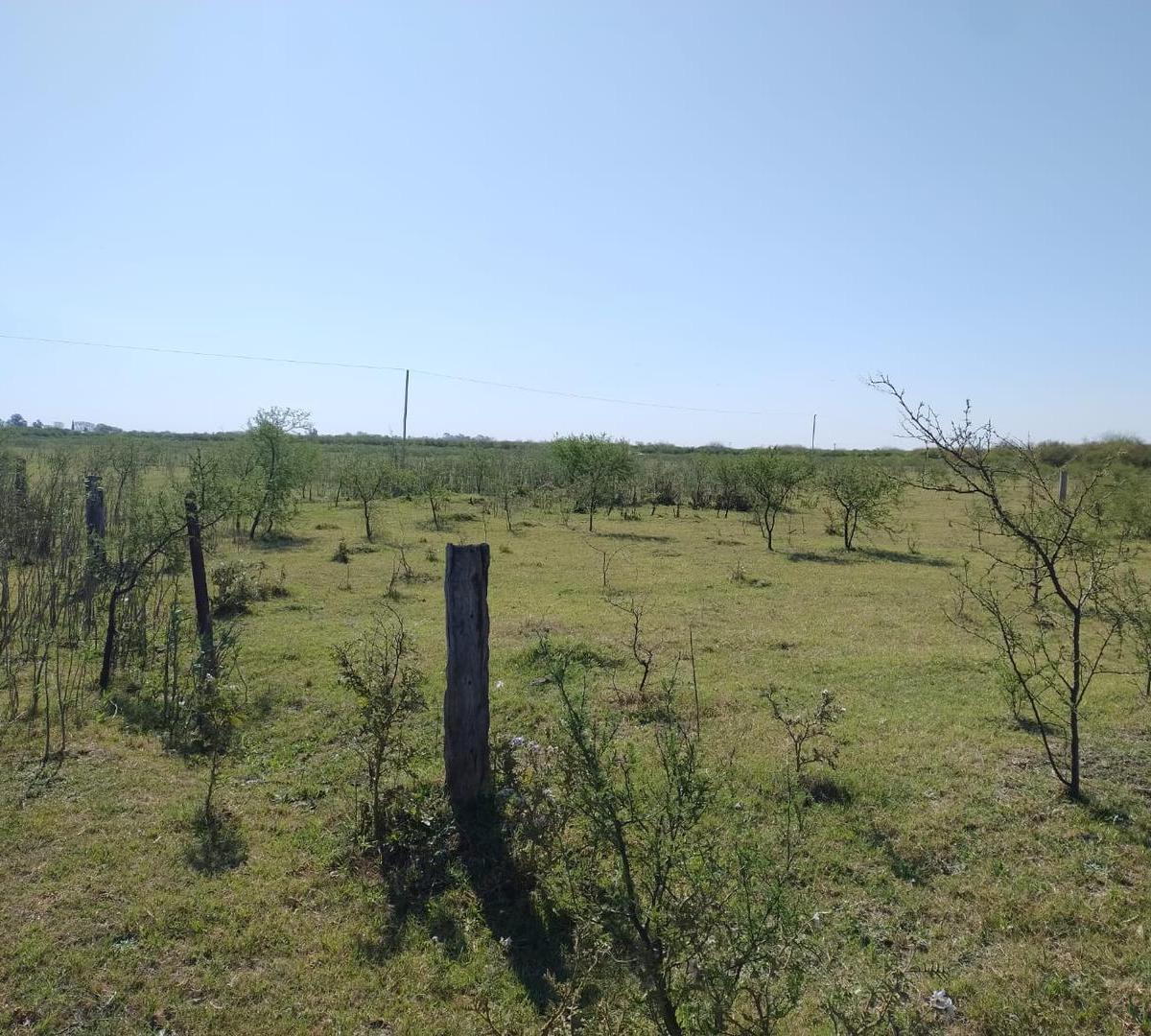 Terreno en Chaquito, Ideal Para 5 Lotes 5
