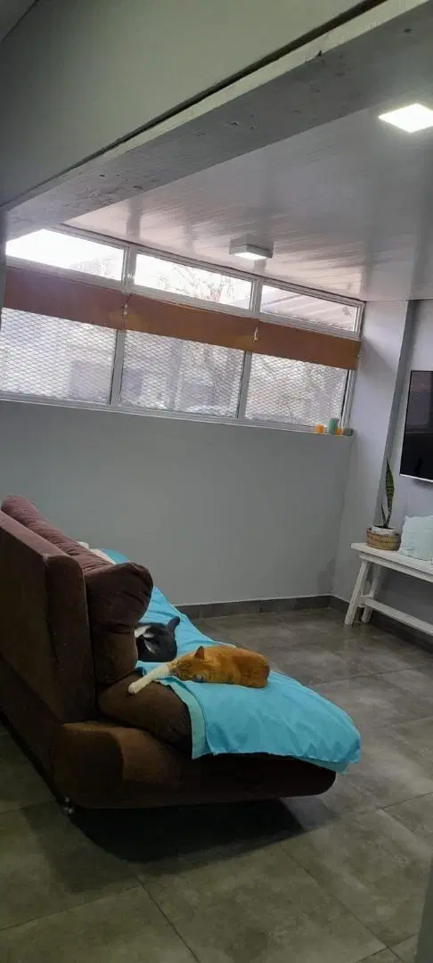 CASA MAS MONOAMBIENTE INTEGRADO MODERNIZADOS 3