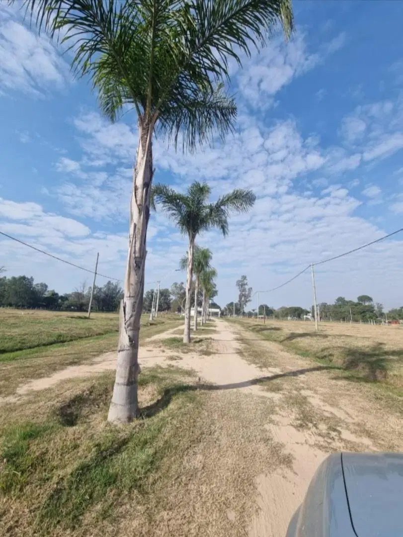 Lote en Bariio Privado Quiloazas 2