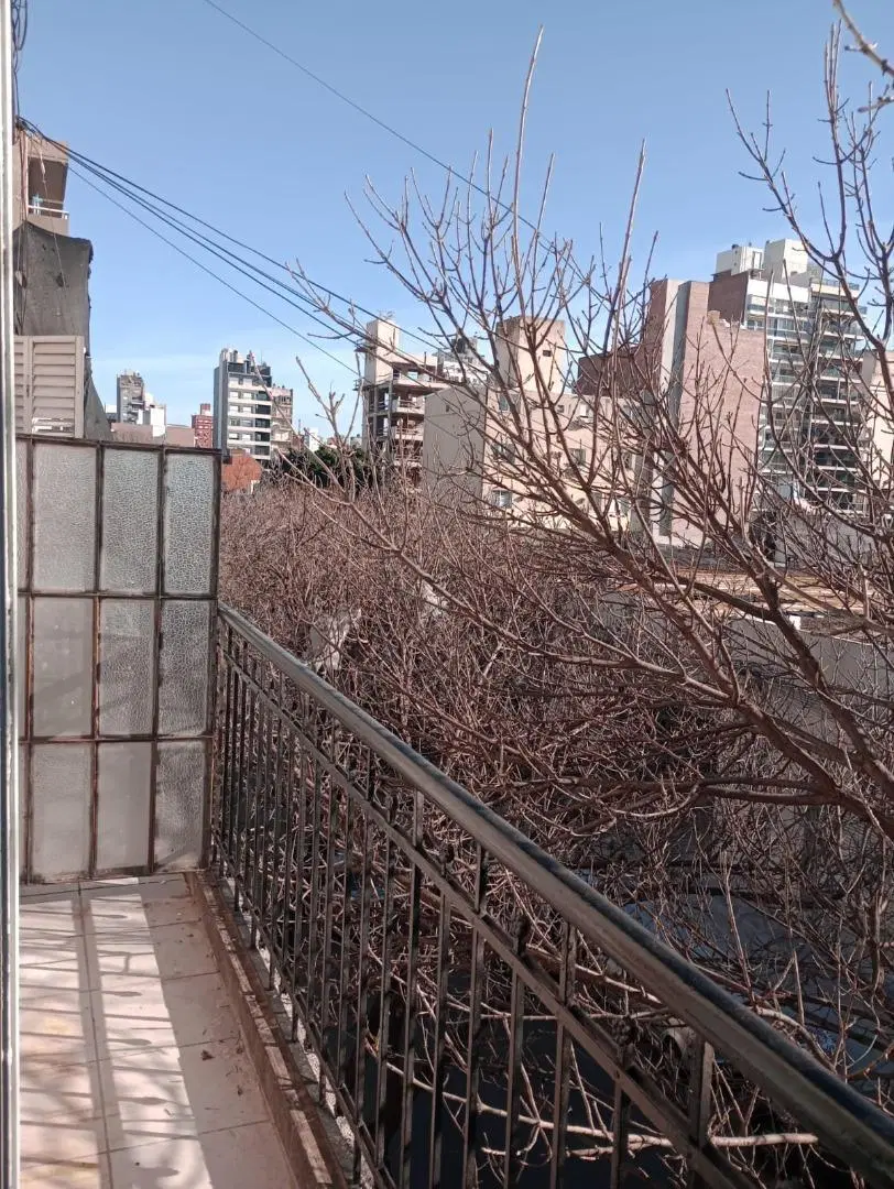 ALQUILER DEPARTAMENTO ITUZAINGO 1231 03-01 8