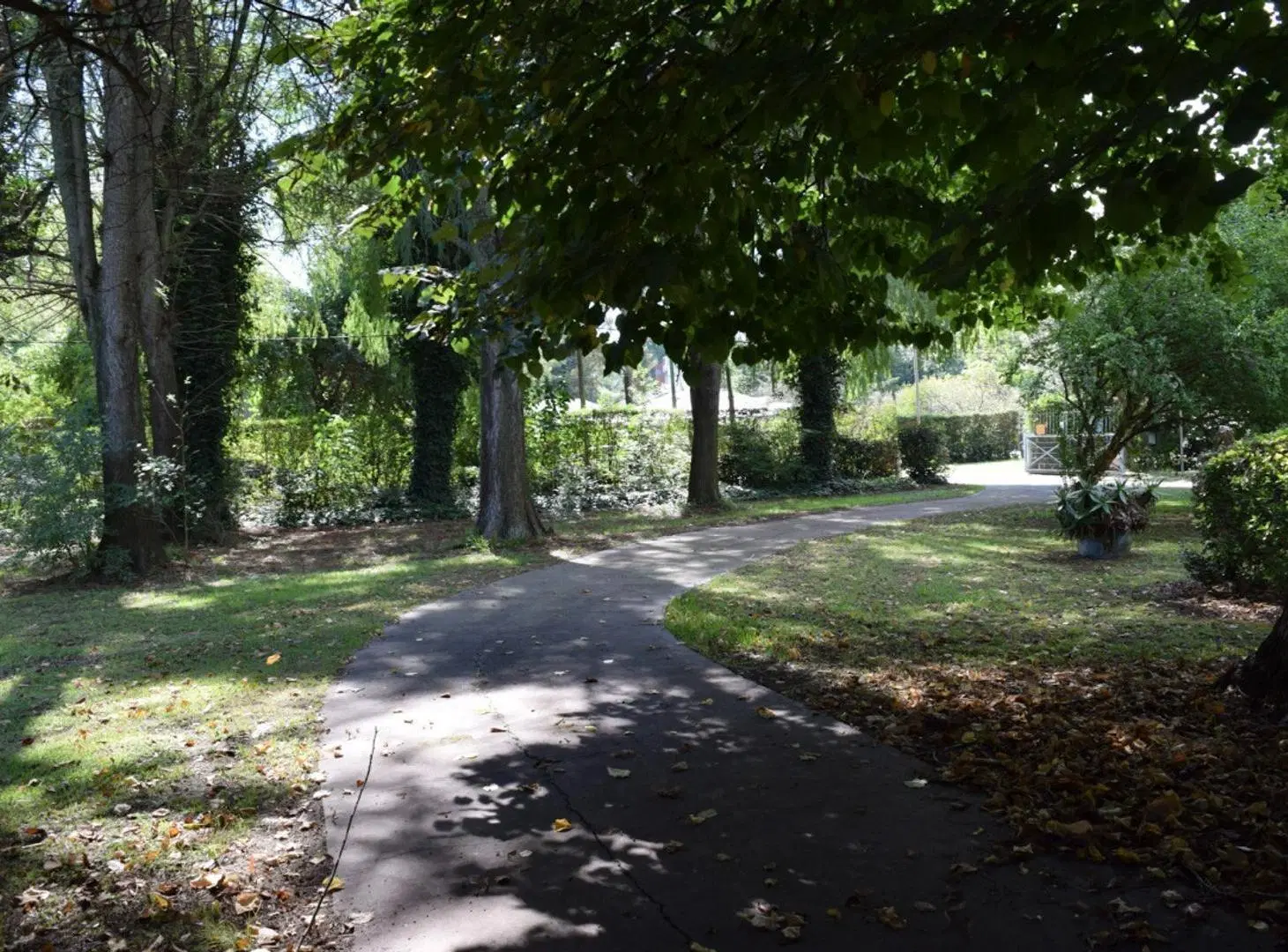 VENTA LOTE CON VIVIENDA SAN JUAN PEREYRA IRAOLA 8