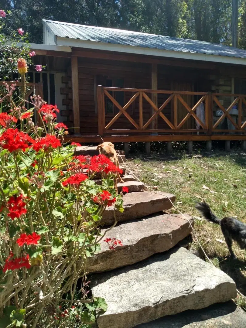 Venta casa quinta en ruta 88 1