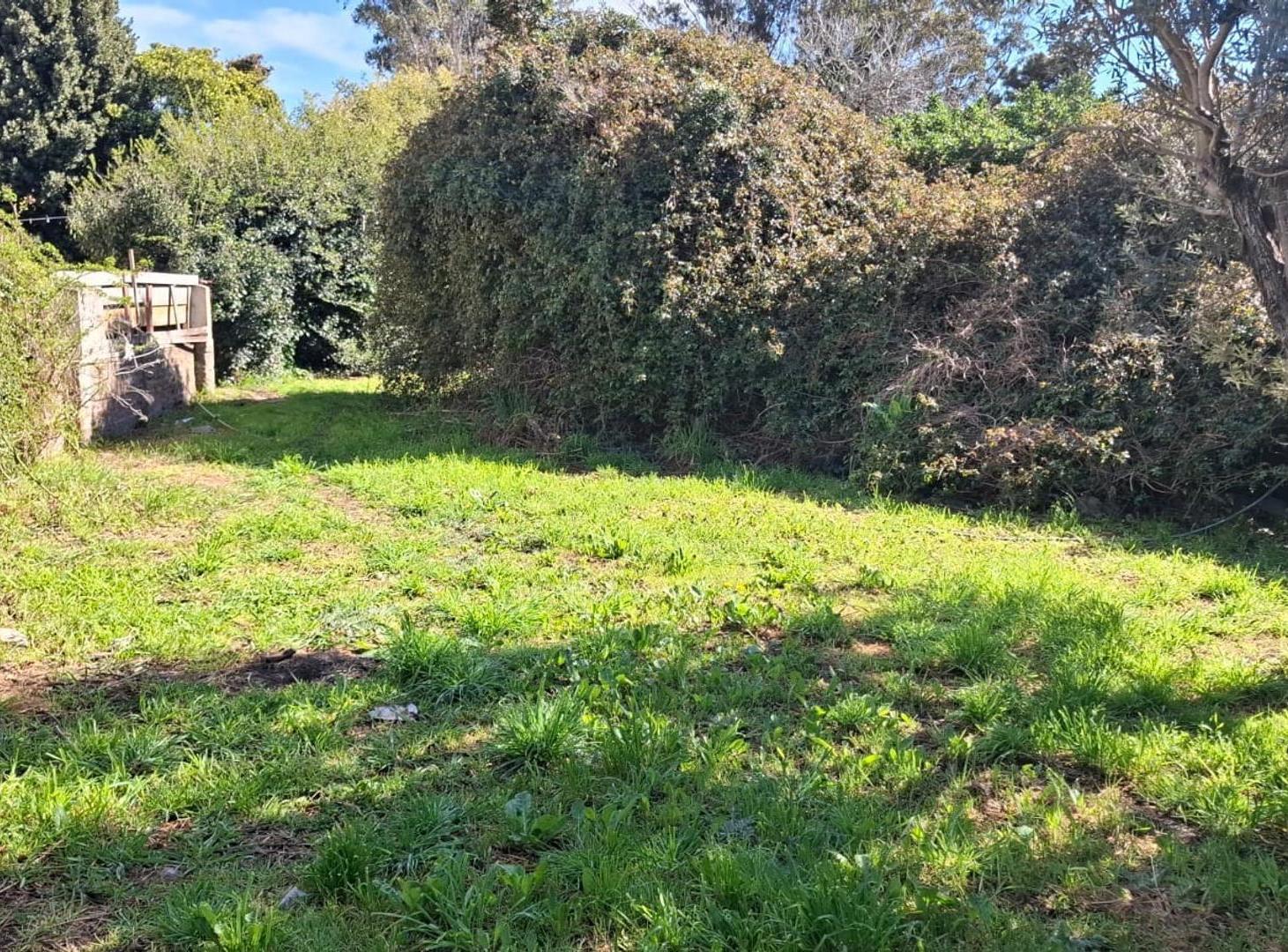 Foto de LOTE 300 M2. FARO NORTE, imagen 5