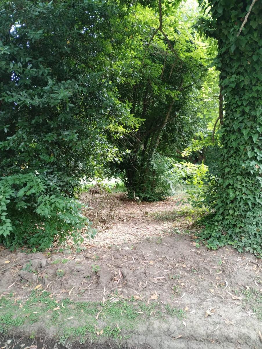 Terreno en Venta en El Carmencito 2