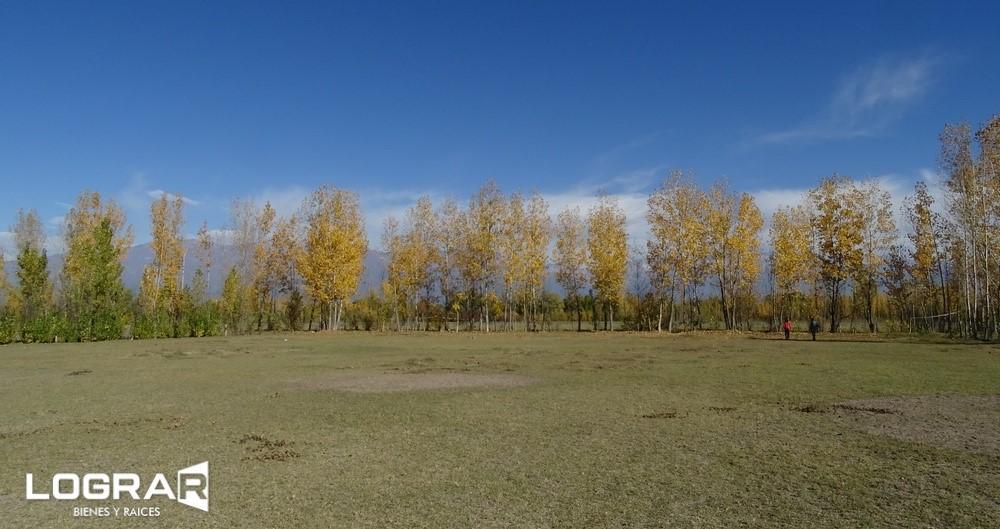 Increible Lote en Tunuyán. en Colonia Las Rosas 5