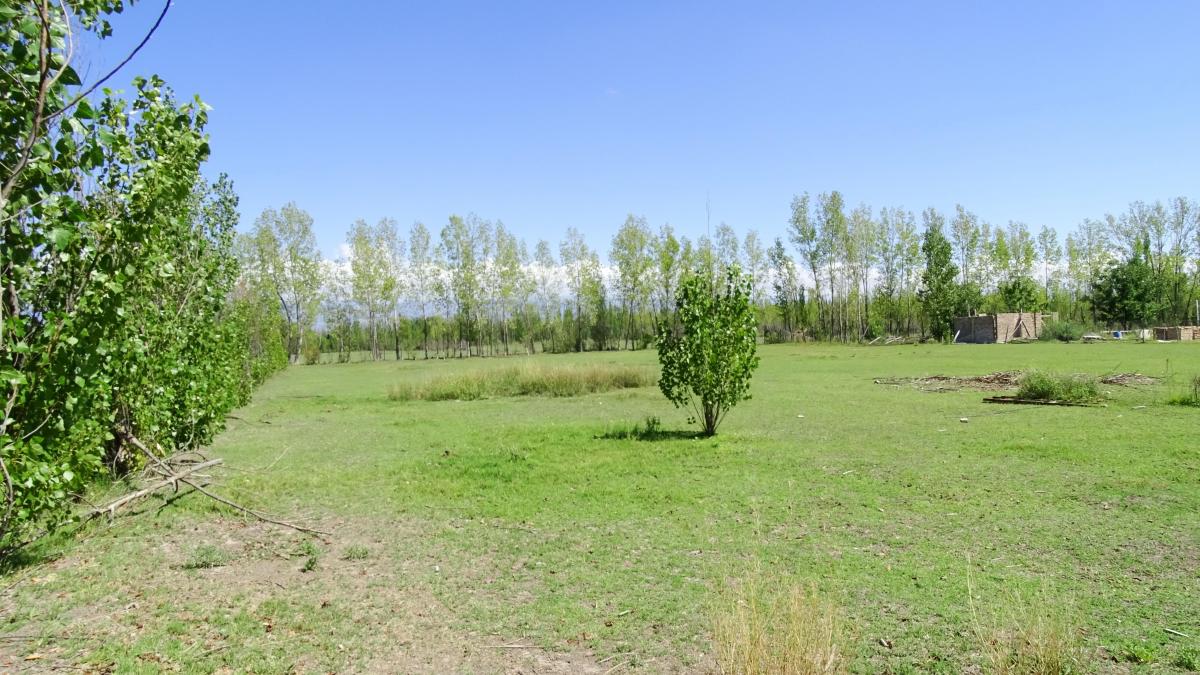 Increible Lote en Tunuyán. en Colonia Las Rosas 3