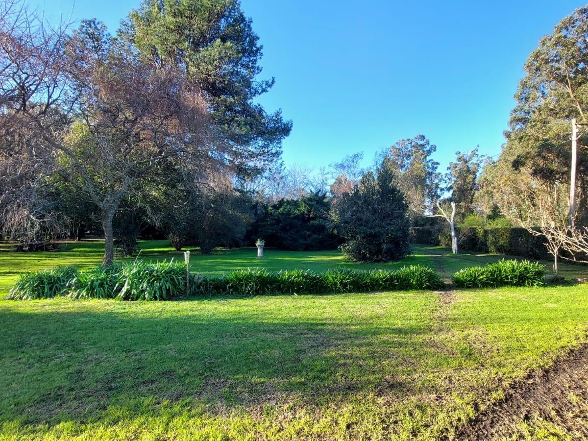 Quinta 2