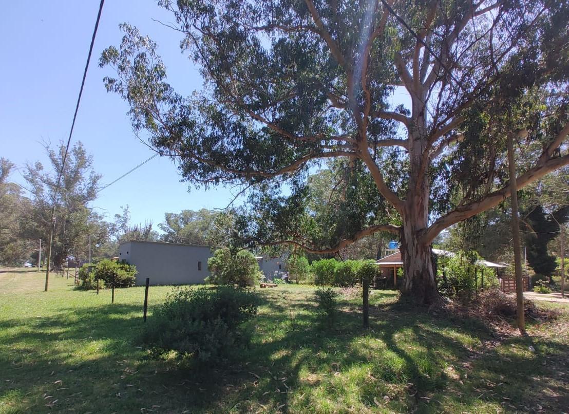 Lote de Terreno 2