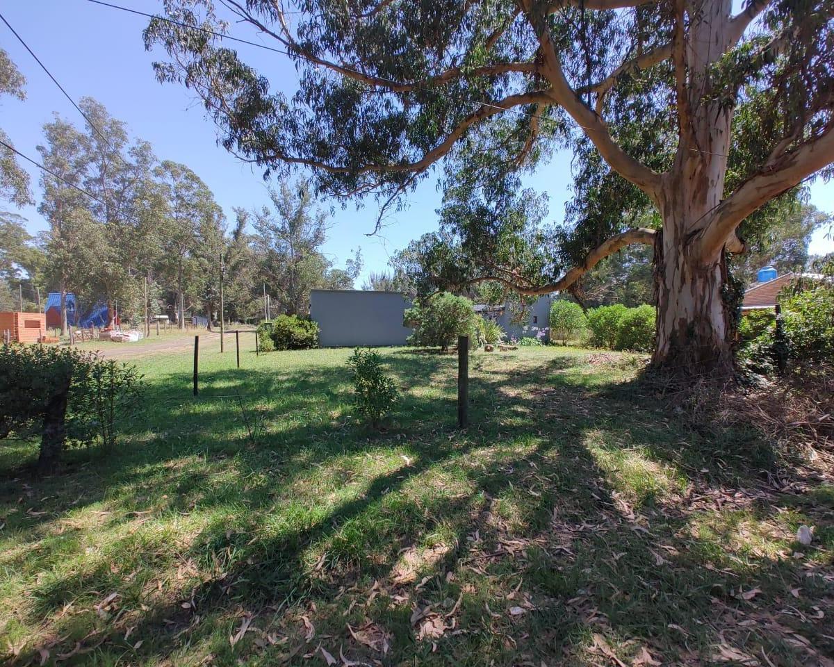 Lote de Terreno 4
