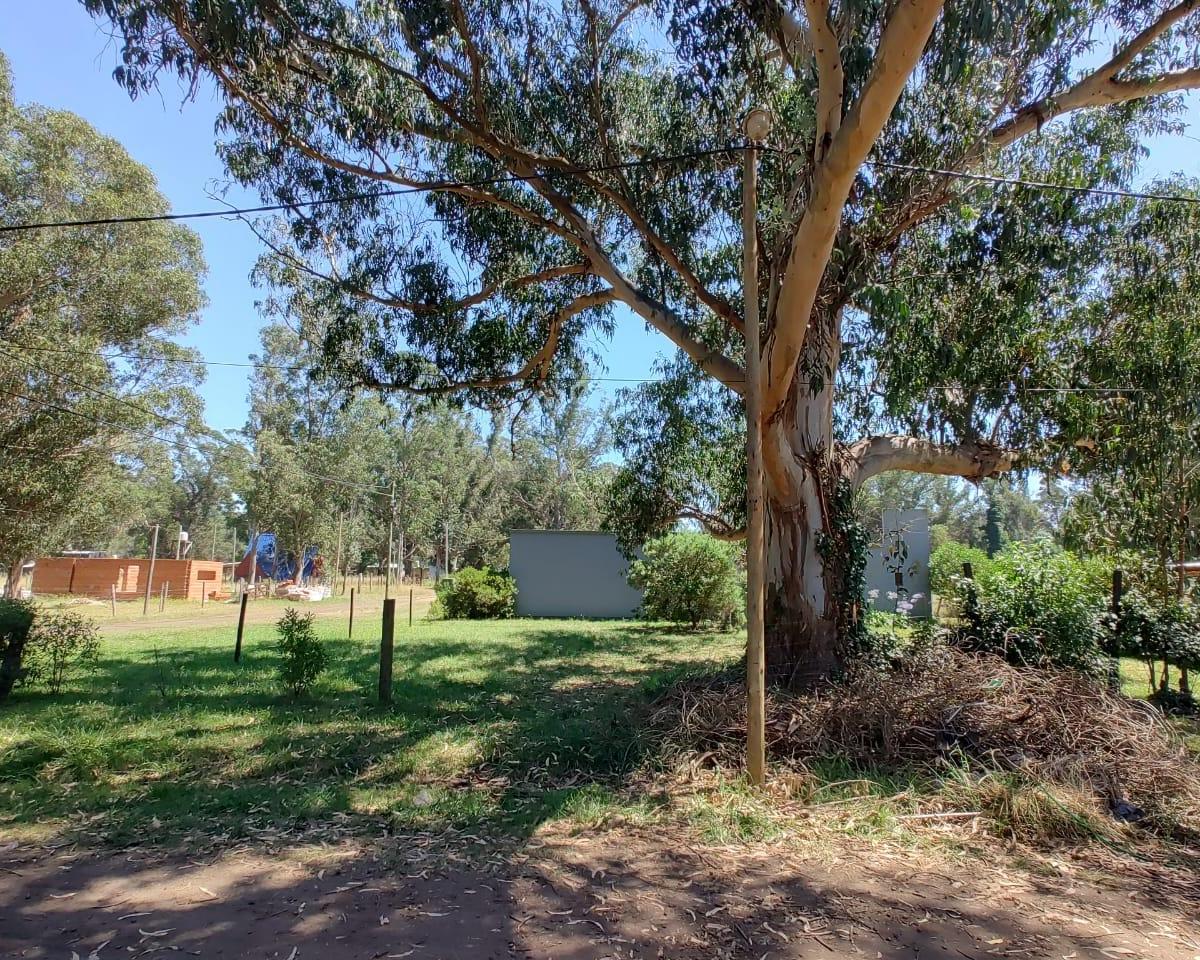 Lote de Terreno 3