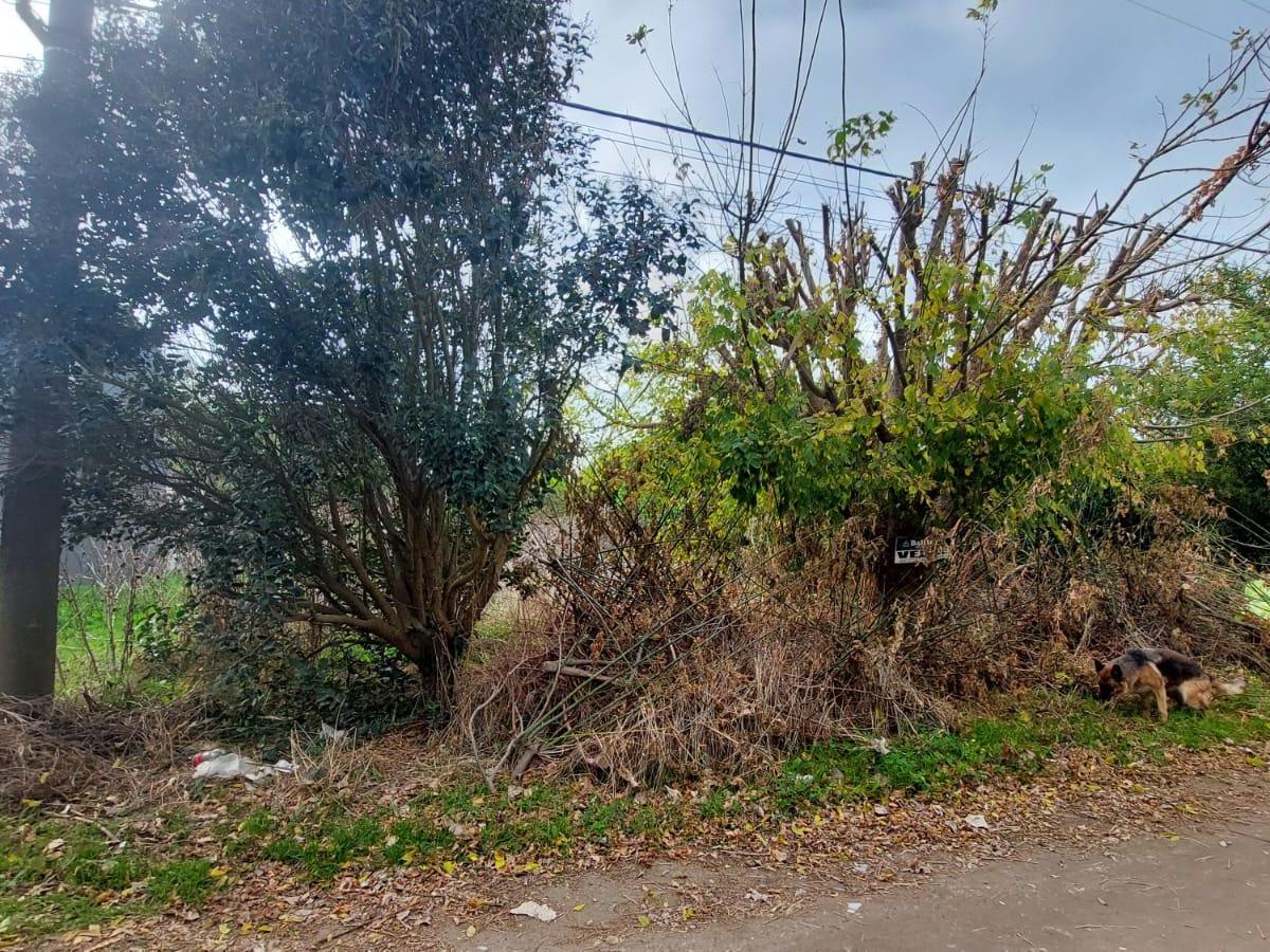 Lote o Terreno 2