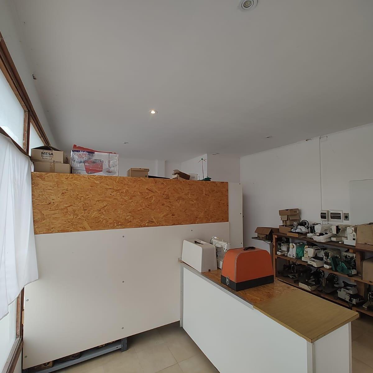 Local + Departamento + Galpón 2