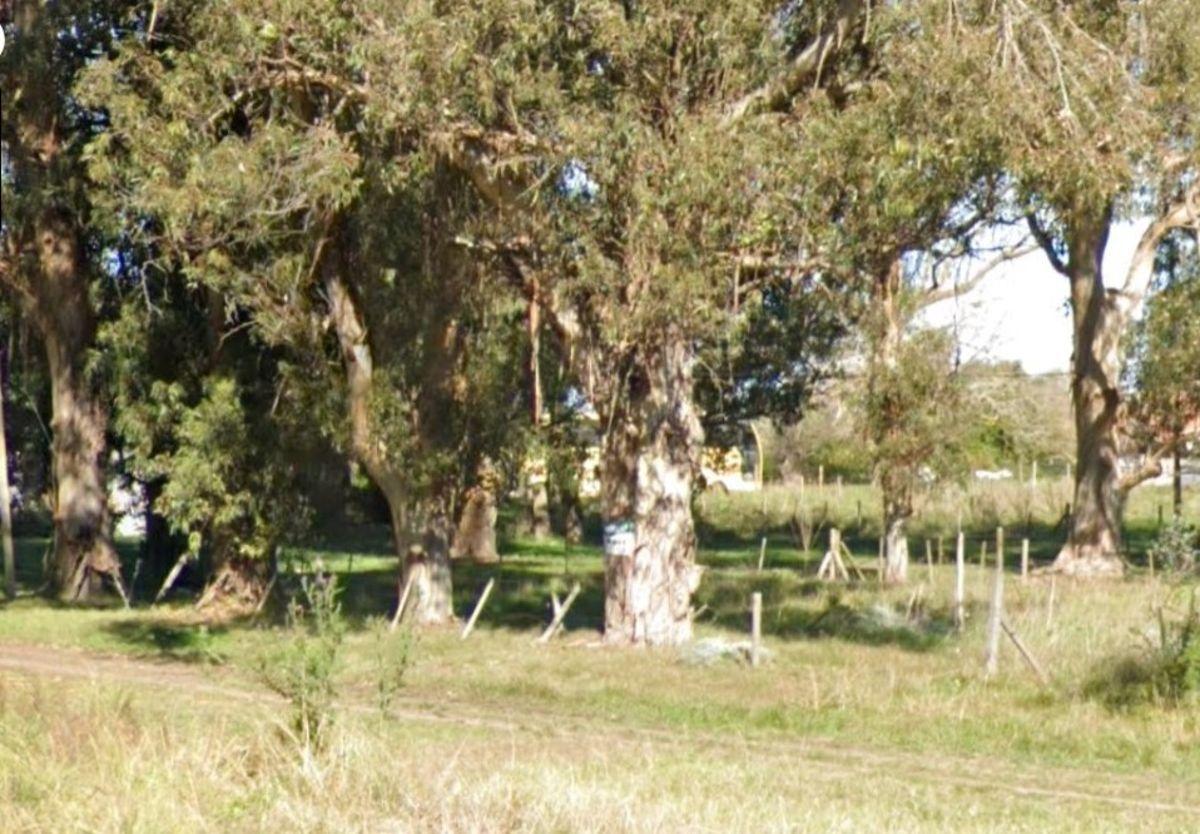 Lote en Parque Bristol