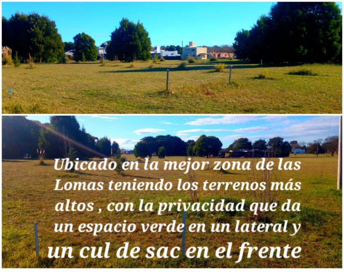 Foto de Terreno en Las Lomas de Miramar, imagen 3