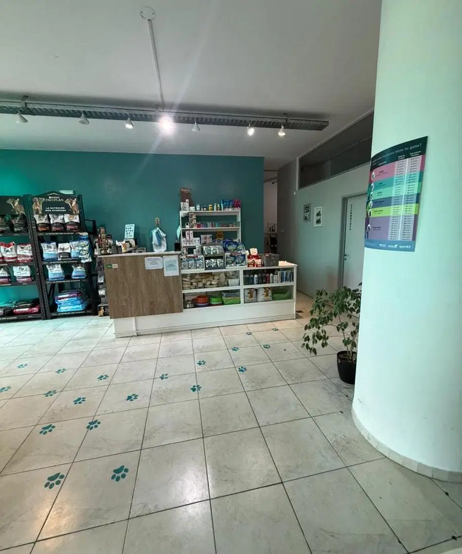 Local comercial 120 m² en esquina San Juan y Calasanz | Apto gastronómico 1