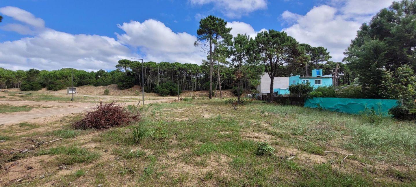 Foto de Lote en Pinamar oportunidad con buena orientación toma vehiculo, imagen 5