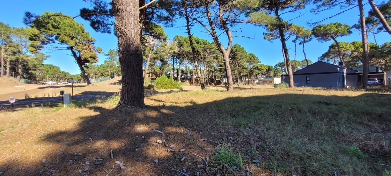 Foto de Lote en Barrio Cerrado Pioneros- Pinamar / Consulte Financiación, imagen 1