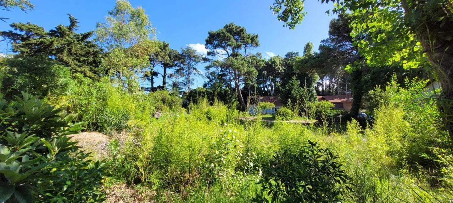Lote Unifamiliar- Residencial- Pinamar a metros del Mar y del Centro 3
