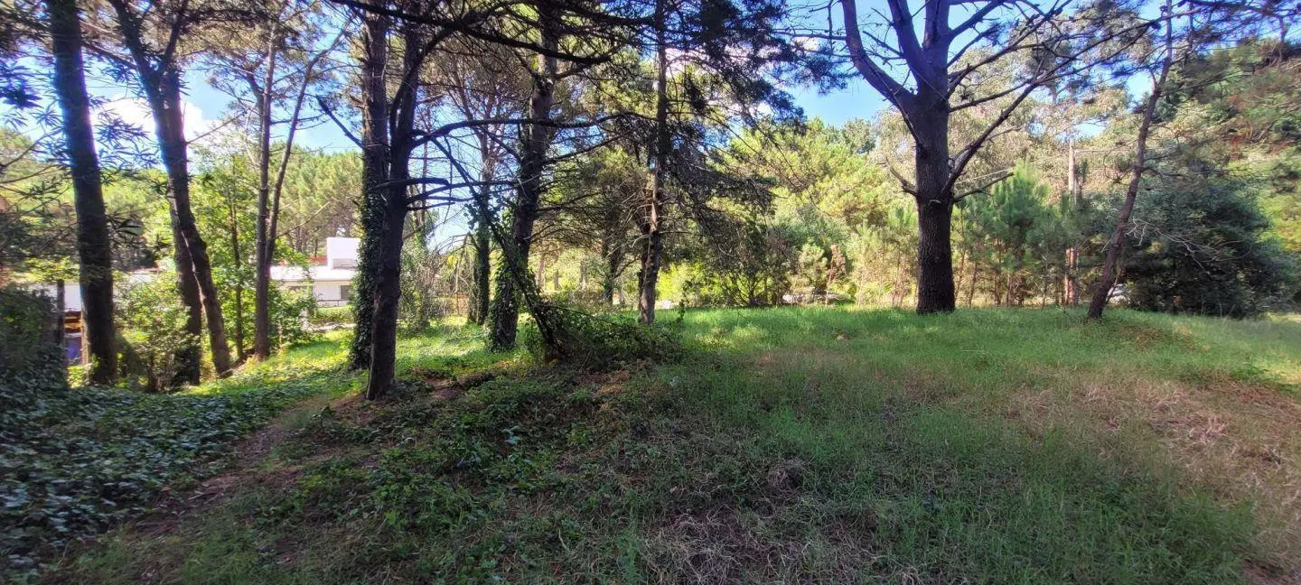 Vendo 2 lotes en Valeria del Mar a metros del mar 5