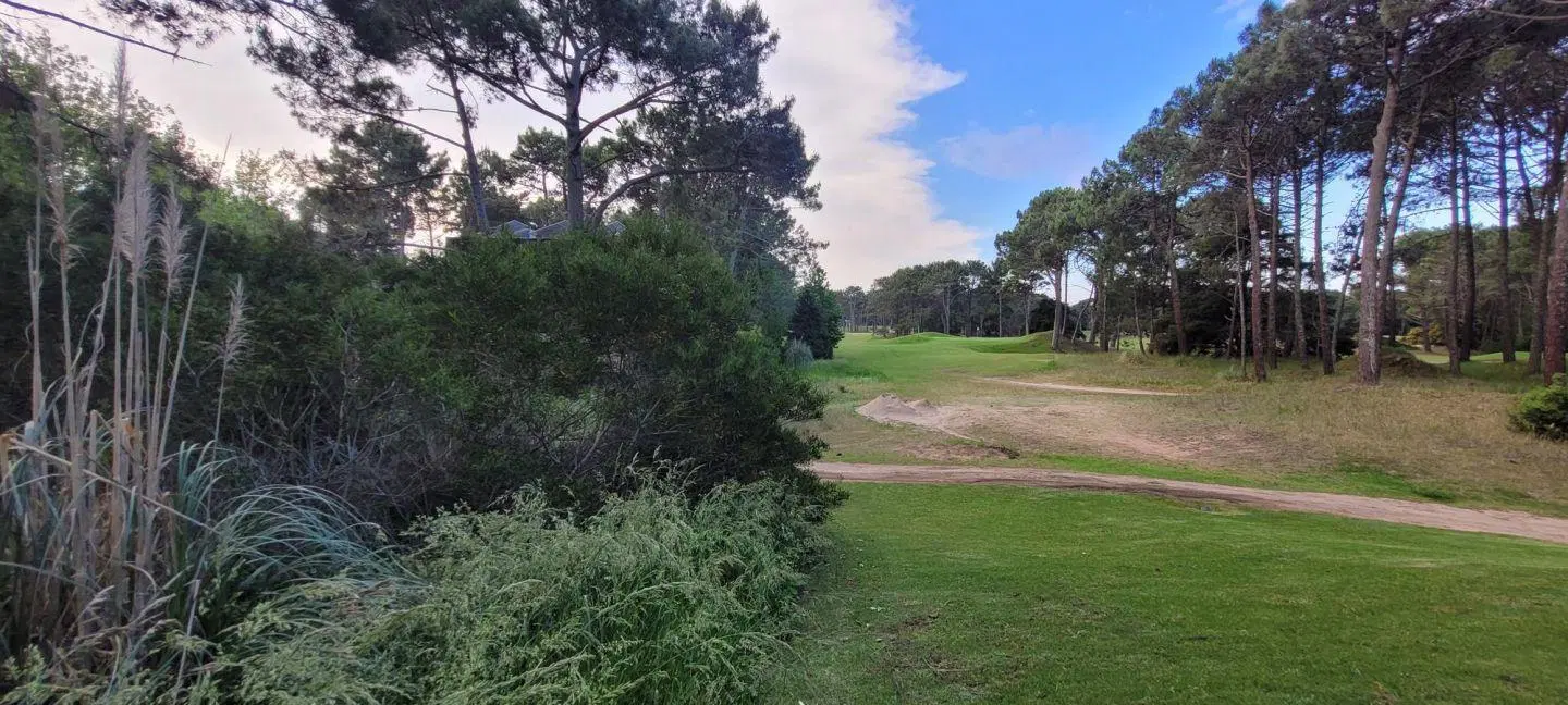 Lote a la venta en isla del golf Carilo vista plena 3