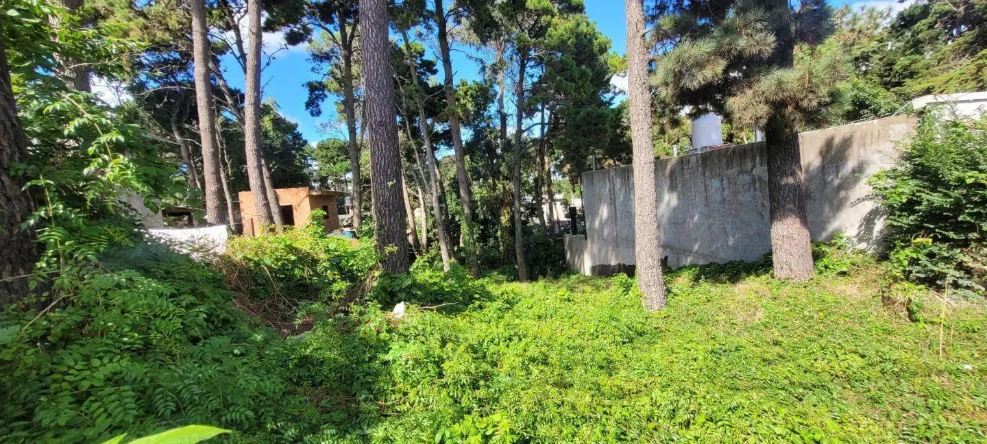 Lote en venta Ostende a Metros de Victor Hugo 5