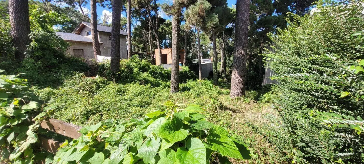 Lote en venta Ostende a Metros de Victor Hugo 3