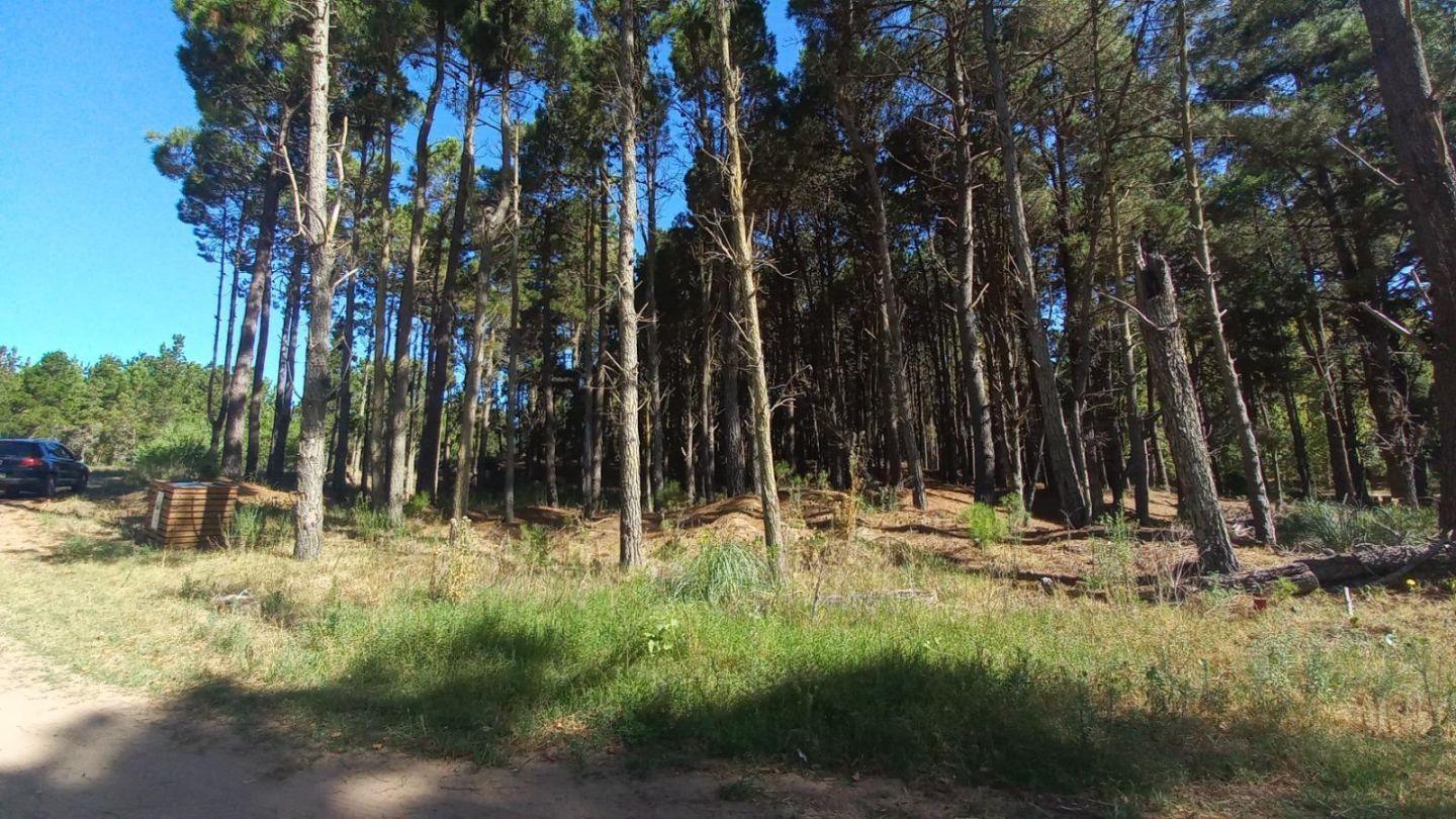Foto de Lote en Villa Robles, imagen 2