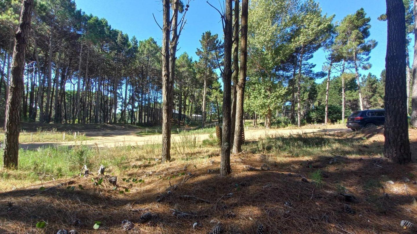 Foto de Lote en Villa Robles, imagen 5