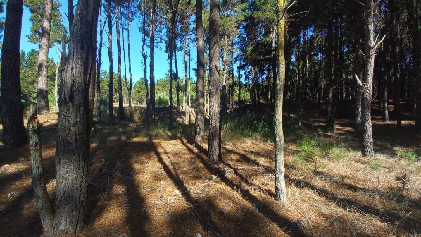 Foto de Lote en Villa Robles, imagen 3