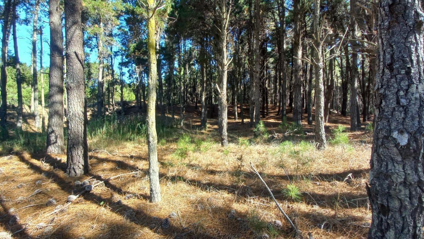 Foto de Lote en Villa Robles, imagen 4