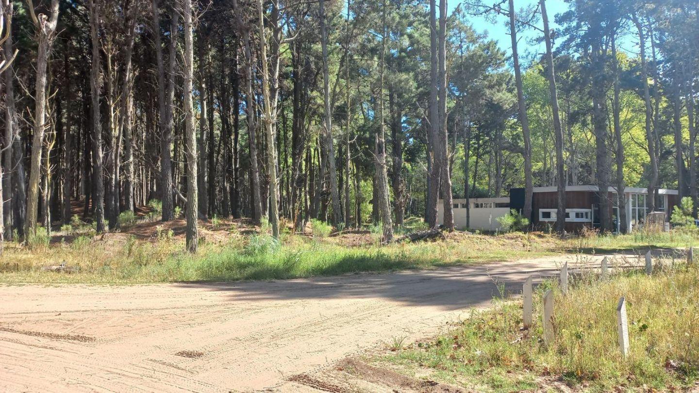 Foto de Lote en Villa Robles, imagen 1