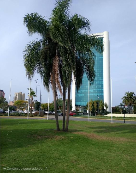 Alquiler – Oficina Premium – Torre de las Naciones – Piso 16 con Vista Panorámica