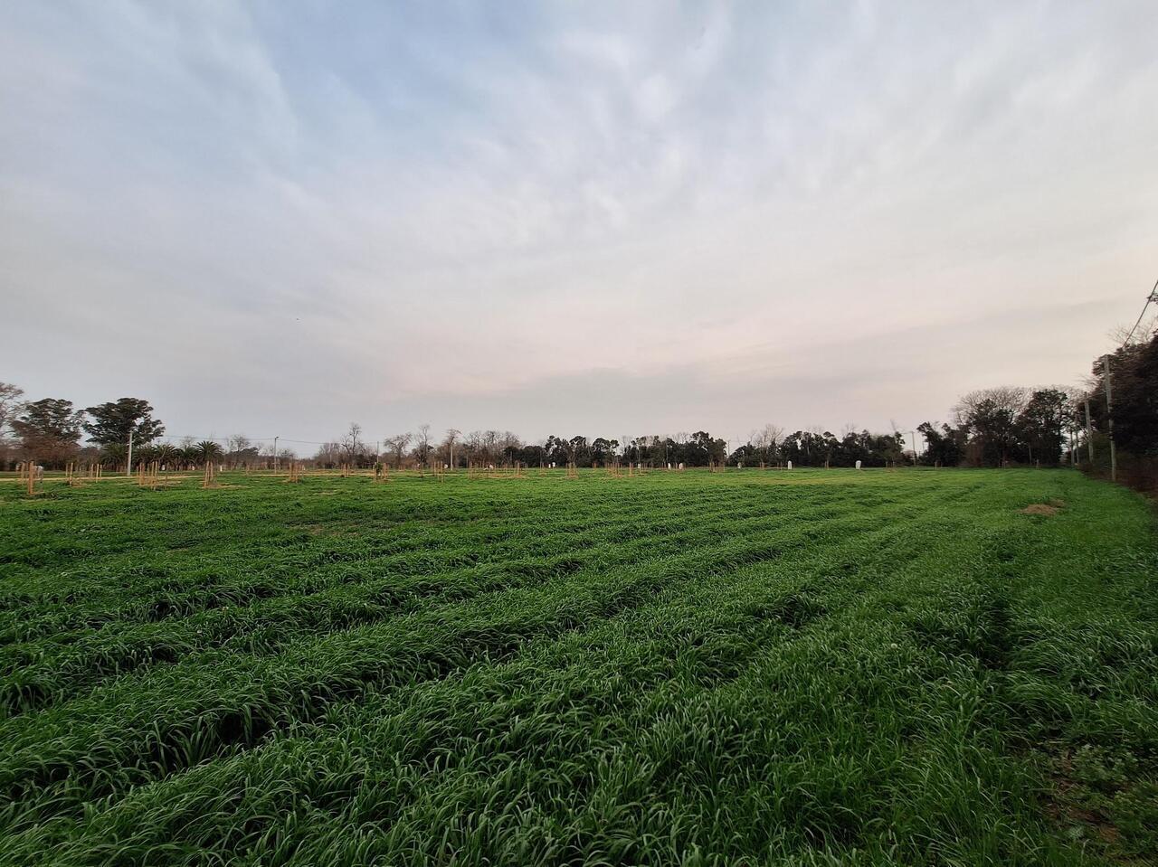 Terreno en Venta Eco Chacras, Escobar , Zona Norte